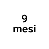 9 mesi